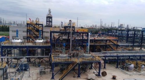 我國(guó)獨(dú)有 內(nèi)含 銀絲 被剝皮還能活,老農(nóng) 這是 植物黃金