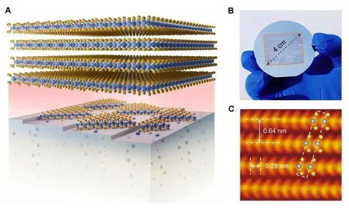 突破性成果 我國高?？蒲袌F隊首創