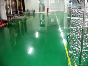 亳州潔凈防塵無(wú)溶劑環(huán)氧樹(shù)脂自流平地坪