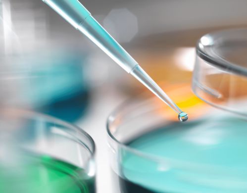 辟謠 長斑點的雞蛋有沙門氏菌嗎 買雞蛋要看好這4點