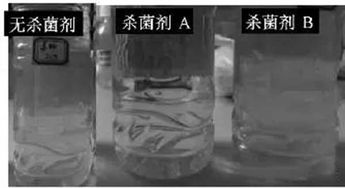 聚羧酸減水劑居然也需要防腐