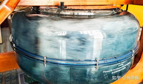 2024年高性價比劃船機推薦,各品牌劃船機怎么選 劃船機哪個品牌好 海德 小莫 mok劃船機最新款和熱銷款推薦