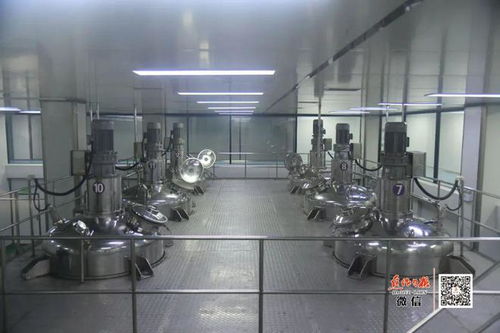 隱形冠軍 走到舞臺(tái)中央 寫在溫縣通過(guò) 中國(guó)速食調(diào)味料之都 評(píng)審時(shí)