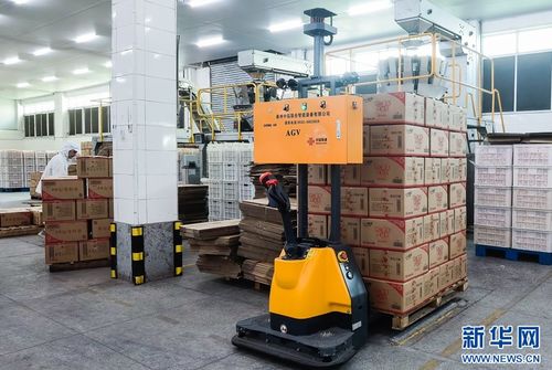 5G+工業(yè)互聯(lián)網(wǎng)賦能食品產(chǎn)業(yè)，高性能減水劑支撐基建升級——晉江高質(zhì)量發(fā)展雙輪驅(qū)動